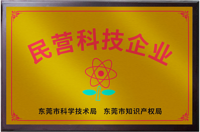 Dongguan Non-public Scientific and Technological Enterprises